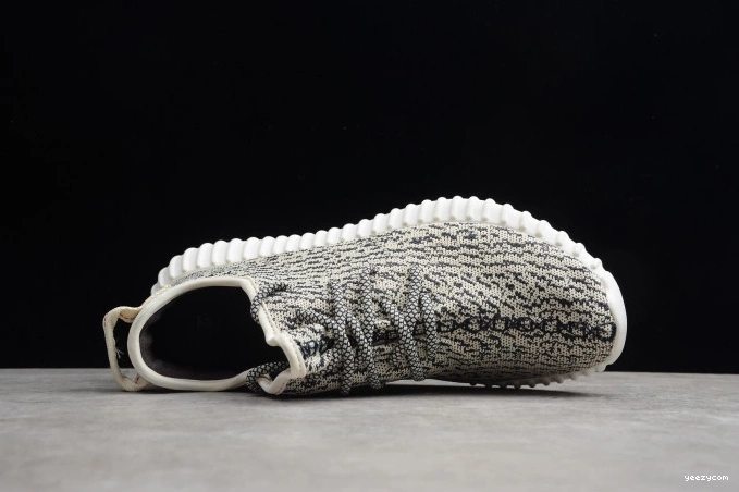 Boost Turtle AQ4832 350 YEEZY Dove Adidas 0807